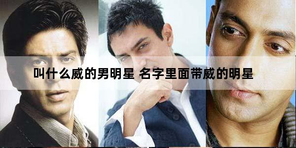 叫什么威的男明星 名字里面带威的明星